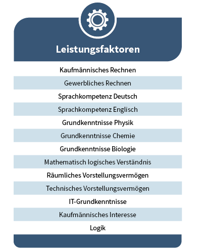 Abbildung Kompetenzfeststellung - Leistungsfaktoren